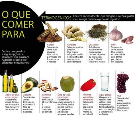 Vitta Diet Brasil Termogênicos naturais