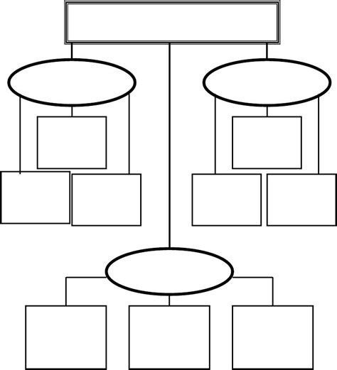 Editable Graphic Organizer Template