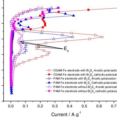 Steady State Potentiostatic Polarization Data For Iron Electrodes