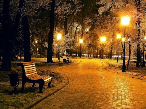 Lit Street Lamps in Front of Purple Sky
