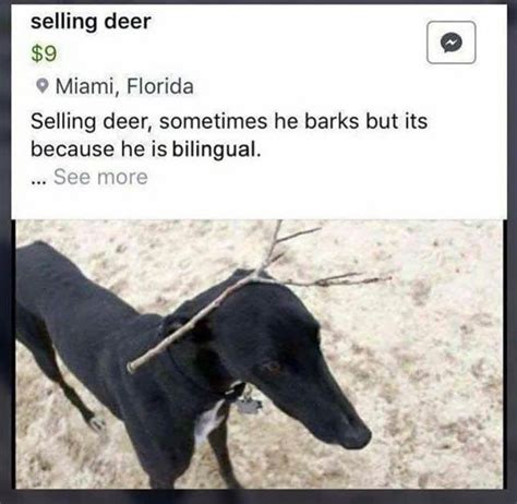 Selling Deer R Crappyoffbrands