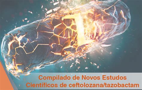 Compilado de novos estudos científicos sobre antibiótico betalactâmico