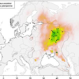 Potential Distribution Of The Emerald Ash Borer Agrilus Planipennis In