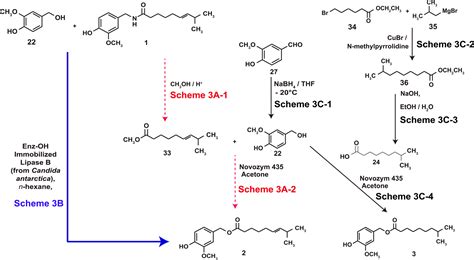 Anticancer Activity Of Region B Capsaicin Analogs Journal Of Medicinal Chemistry