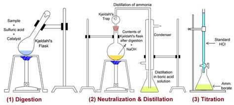 Kjeldahl Method For Protein Determination My Labgo In Improving