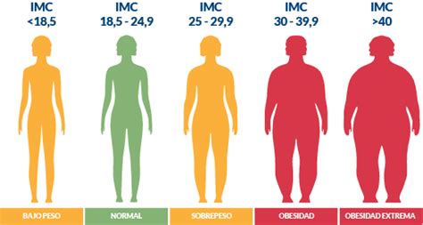 Tabla De Clasificación Imc Medida Mujer Infografía Del