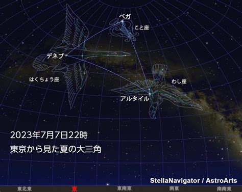 七夕に見える星座とは？織姫星と彦星の間を横切る「キューピッドの矢」に注目