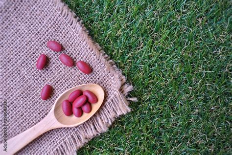 iron supplement pills iron    treat anemia due  iron