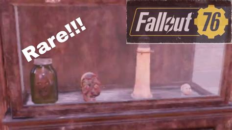 Fallout 76 Rare Junk Items For Your Display Case Youtube