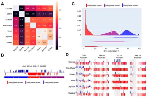 Identification Of Differentially Methylated Regions A Correlation