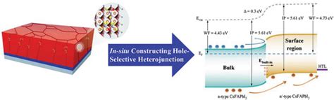 In Situ Reconstruction Of Hole‐selective Perovskite Heterojunction With