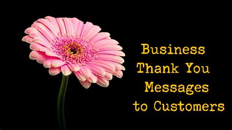 100+ Business Thank You Messages to Customers – Congratulations Quotes