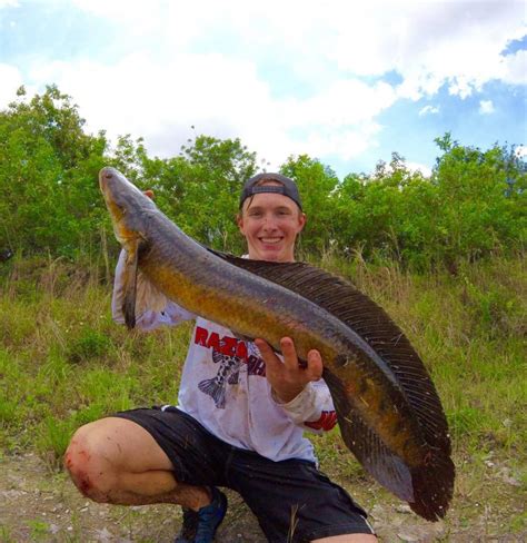 Brandon’s Bullseye Snakehead - Coastal Angler & The Angler Magazine