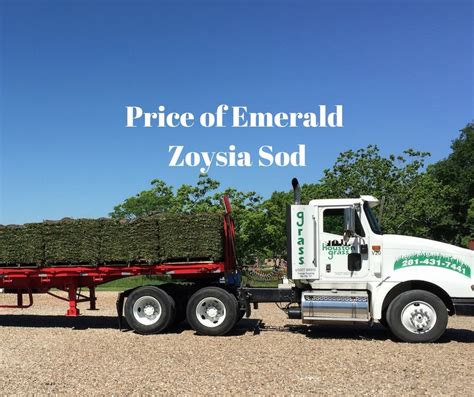 Price of Emerald Zoysia Sod - Houston Grass South - Pearland Katy Sugar ...