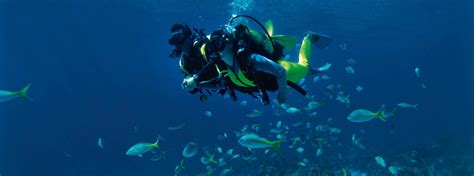 Dive into Paradise: The Ultimate Guide to Scuba Diving in Cayo Coco, Cuba