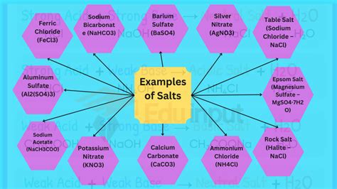 20 Examples of Salts