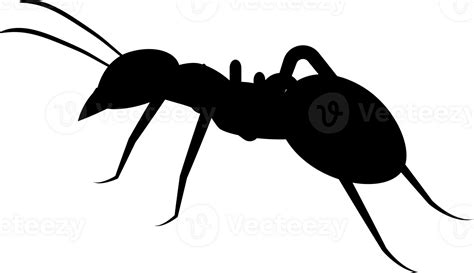 silhouette ant isolated 23985674 PNG