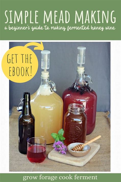 Simple Mead Making: A Beginner's Guide to One Gallon Batches | Beer ...