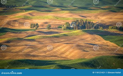 A Farm in the Palouse As Seen from Steptoe Butte Stock Image - Image of ...