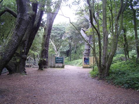 Nature Reserve And Trail At Highcliffe © Anthony Vosper Cc By Sa20