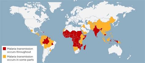 Malaria Locations Map