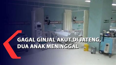 Gagal Ginjal Akut Di Jateng Dua Anak Meninggal Dunia Kompas TV Vidio