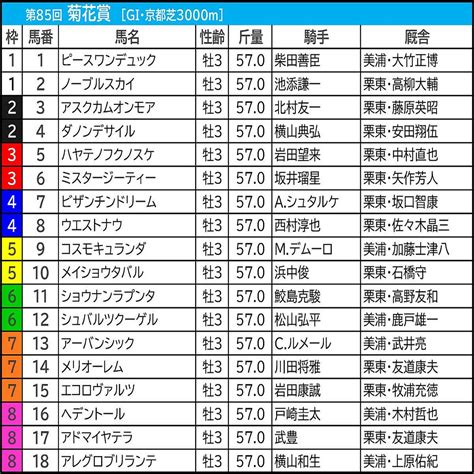 【菊花賞／前日オッズ】単勝99倍以下だけの決着は「10回中1回のみ」 単勝10倍以上は“大手生産牧場”に妙味 2024年10月19日掲載