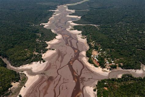 Bosque Tropical AmazÓnico En El PerÚ EstÁ En Riesgo De Desaparecer Por DesforestaciÓn Y Cambio