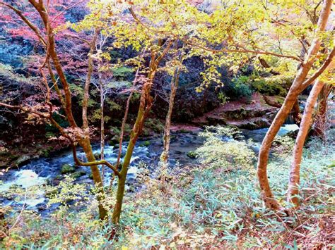 花貫渓谷（紅葉） 関東地方の絶景スポット 日本絶景探訪