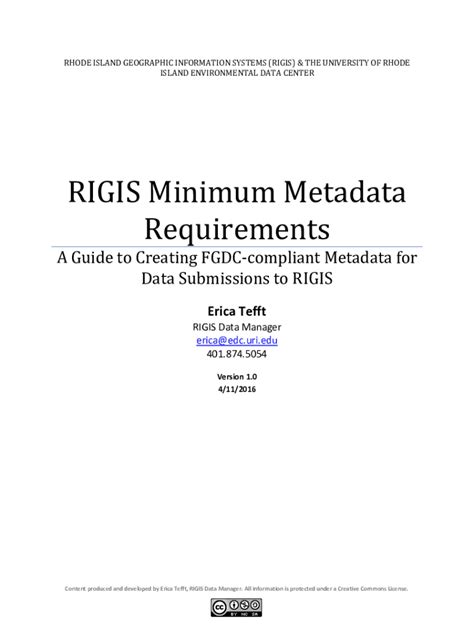 Fillable Online Rigis Minimum Metadata Requirements A Guide To