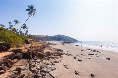 Beautiful Tropical Beach In Vagator Goa India Stock Photo Image Of