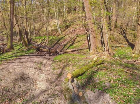 Przeglądy szlaków i infrastruktury turystycznej w Nadleśnictwie Elbląg