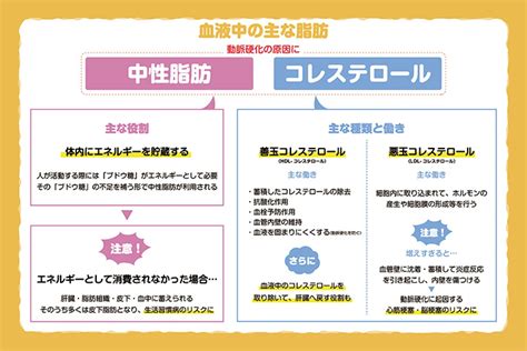 管理栄養士に学ぶ油の豆知識！～健康的な油の種類とは？～｜社会医療法人三栄会 ツカザキ病院