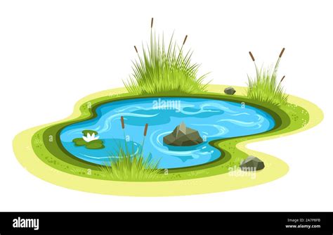 Cartoon garden pond Stock Vector Image & Art - Alamy