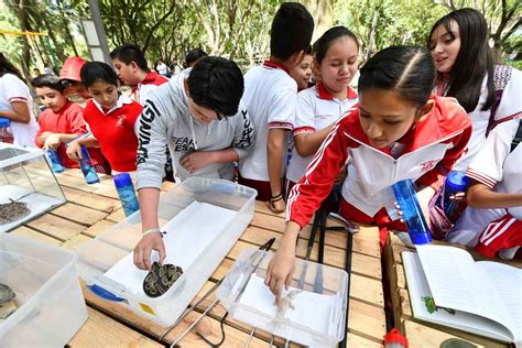 Invitan A Disfrutar Curso De Verano Ecol Gico Regional