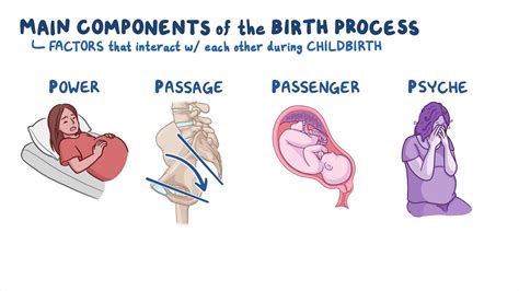 video labor  birth processes osmosis