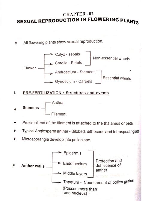 Chp Sexual Reproduction In Flowering Plants Science Studocu