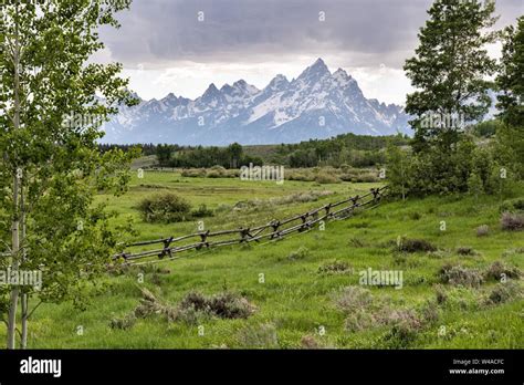 Moose Head Teton National Park Ranch Hi Res Stock Photography And