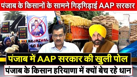 Aap सरकार की खुली पोल पंजाब के किसान हरियाणा में बेच रहे धान किसानों के