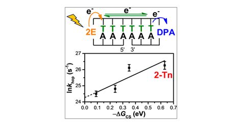 Excess Electron Transfer In DNA By A Fluctuation Assisted Hopping