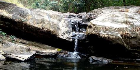 Wildlife sanctuaries in Kerala,trichur,thrissur, wildlife tourism in ...