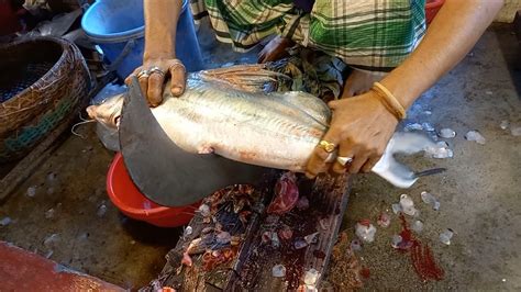 Big Ayer Fish Cutting Live In Fish Market ARS Fish Cutting By Arshad