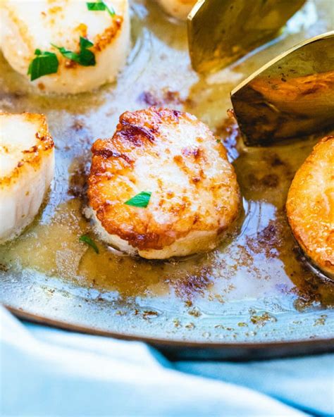 Pan Seared Scallops Tips Tricks A Couple Cooks