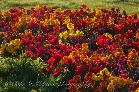 Beautiful Rich Colours Of Spring Copyright © John G Lidst Flickr