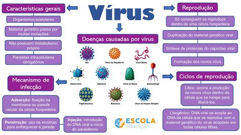 Mapa mental Vírus Escola Educação