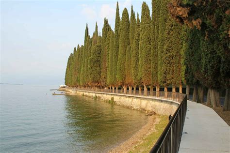 I cipressi di Salò tra gli alberi monumentali dItalia Gardapost