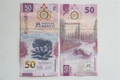 Es Bueno Que Desaparezca El Billete De Euros Hot Sex Picture