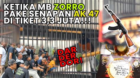 PetCah Murai Batu Zorro Prio Excellent Juara 1 Lagi Di Tiket 3 3