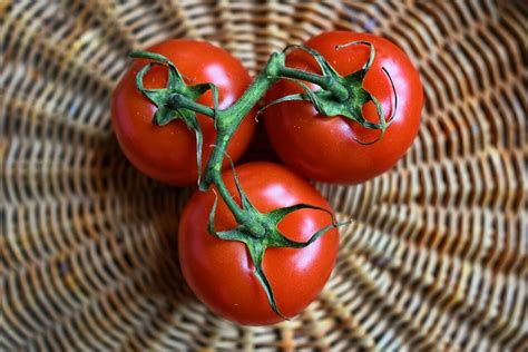 Receta De Sopas De Tomate Extreme As Con Pan Y Patata Cocina De Pueblo