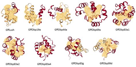 Biomolecules Free Full Text Antennal Enriched Odorant Binding